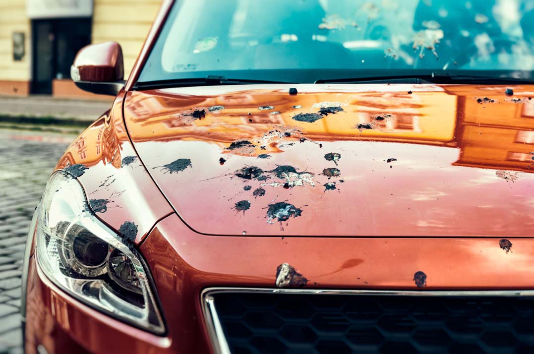car-covered-bird-droppings-web
